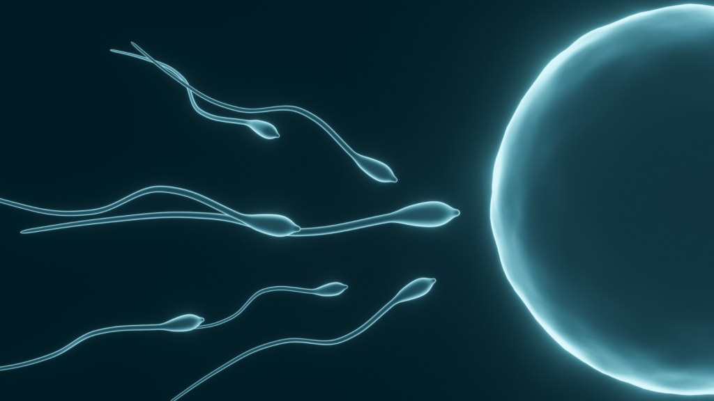 does premature ejaculation contain sperm