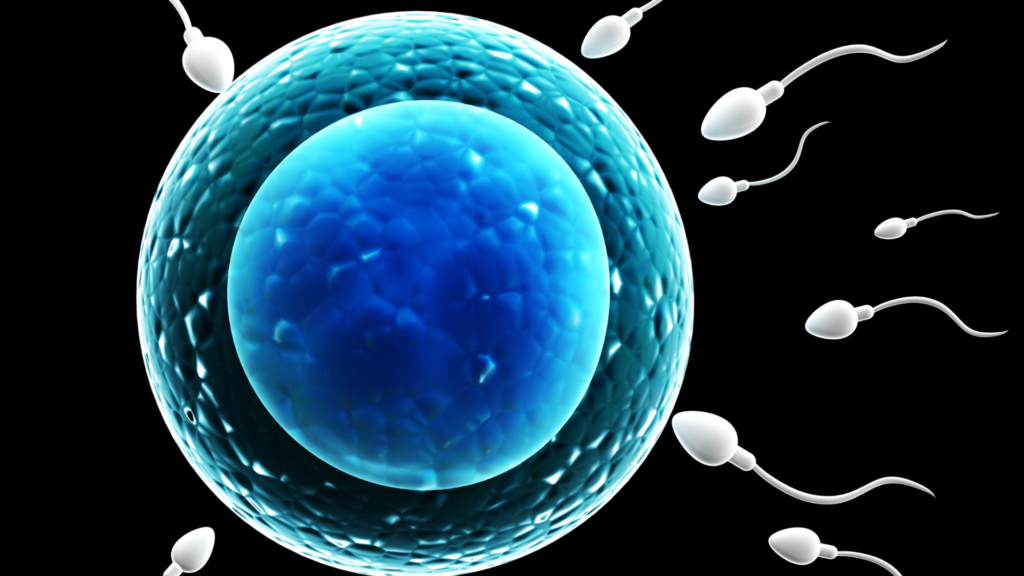 how to increase semen thickness naturally