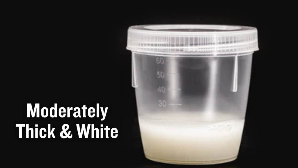 moderately thick and white semen
